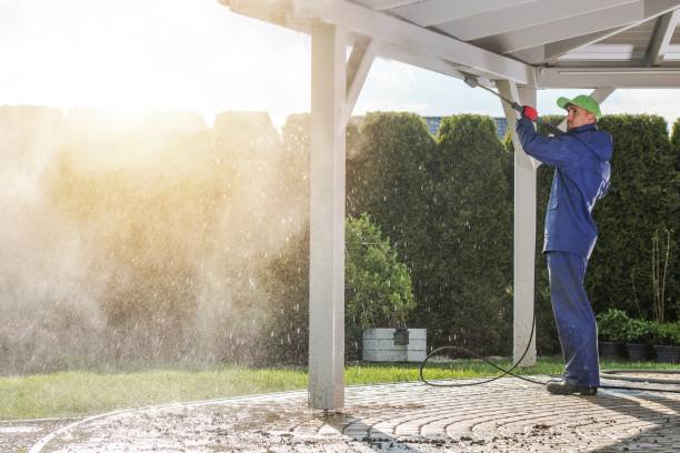 Best Animal Enclosure Cleaning  in Triana, AL