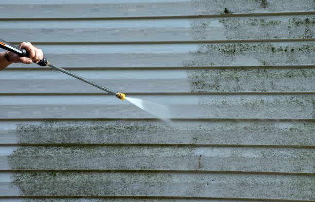 Best Warehouse Cleaning  in Triana, AL