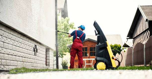 Best Building Exterior Washing  in Triana, AL